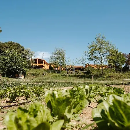 La Berbena En El Campo Holiday home